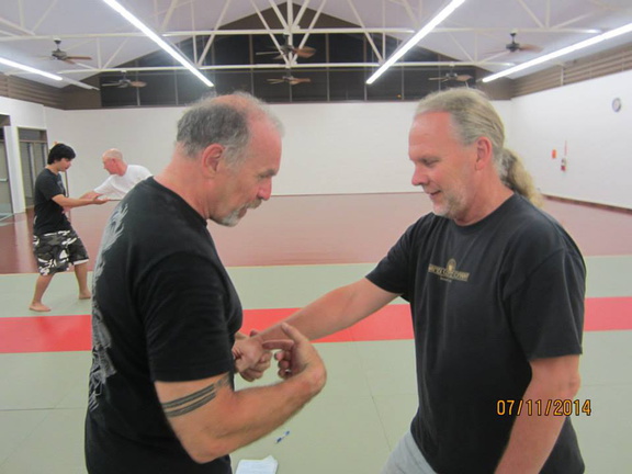 Dan Harden on in Hawaii - Aiki and Internal Power Workshop July 2014