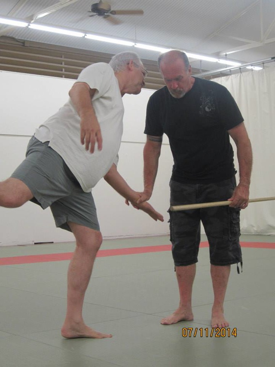 Dan Harden on in Hawaii - Aiki and Internal Power Workshop July 2014