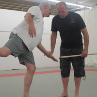 Dan Harden on in Hawaii - Aiki and Internal Power Workshop July 2014