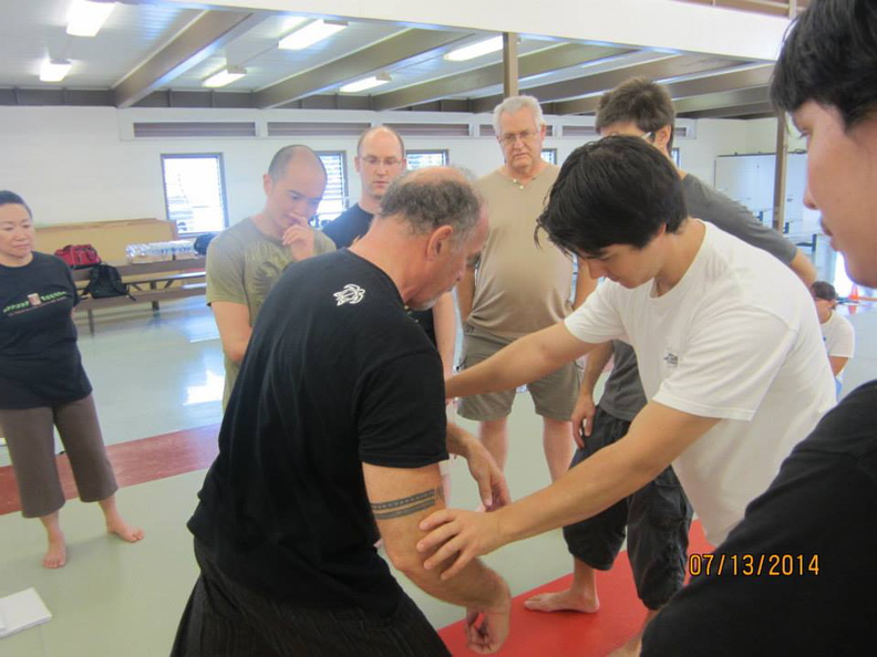 Dan Harden on in Hawaii - Aiki and Internal Power Workshop July 2014