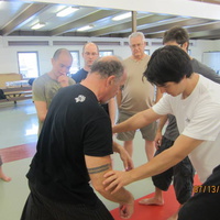 Dan Harden on in Hawaii - Aiki and Internal Power Workshop July 2014