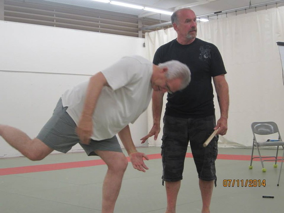 Dan Harden on in Hawaii - Aiki and Internal Power Workshop July 2014