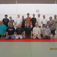 Dan Harden on in Hawaii - Aiki and Internal Power Workshop July 2014