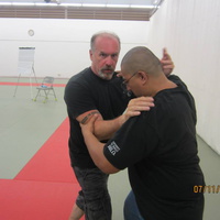 Dan Harden on in Hawaii - Aiki and Internal Power Workshop July 2014