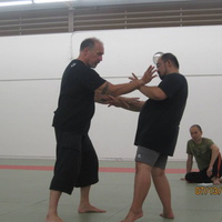 Dan Harden on in Hawaii - Aiki and Internal Power Workshop July 2014