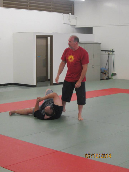 Dan Harden on in Hawaii - Aiki and Internal Power Workshop July 2014