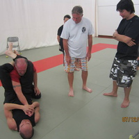 Dan Harden on in Hawaii - Aiki and Internal Power Workshop July 2014