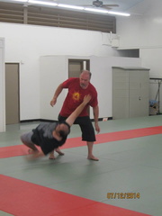 Dan Harden on in Hawaii - Aiki and Internal Power Workshop July 2014