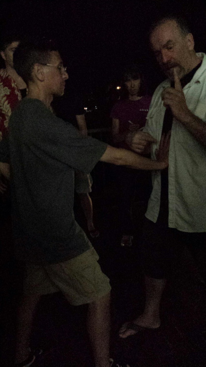 Dan Harden on in Hawaii - Aiki and Internal Power Workshop July 2014