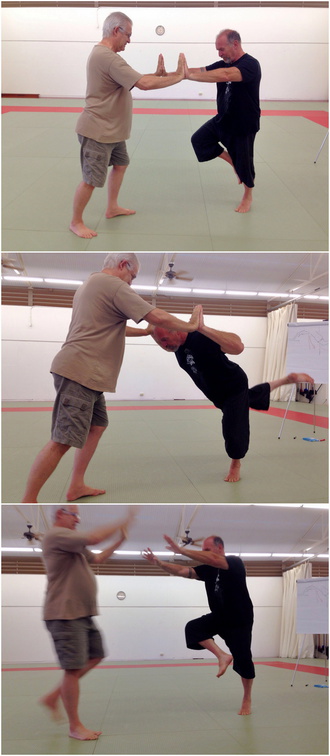 Dan Harden on in Hawaii - Aiki and Internal Power Workshop July 2014