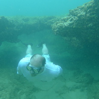 Dan Harden - Skin Diving