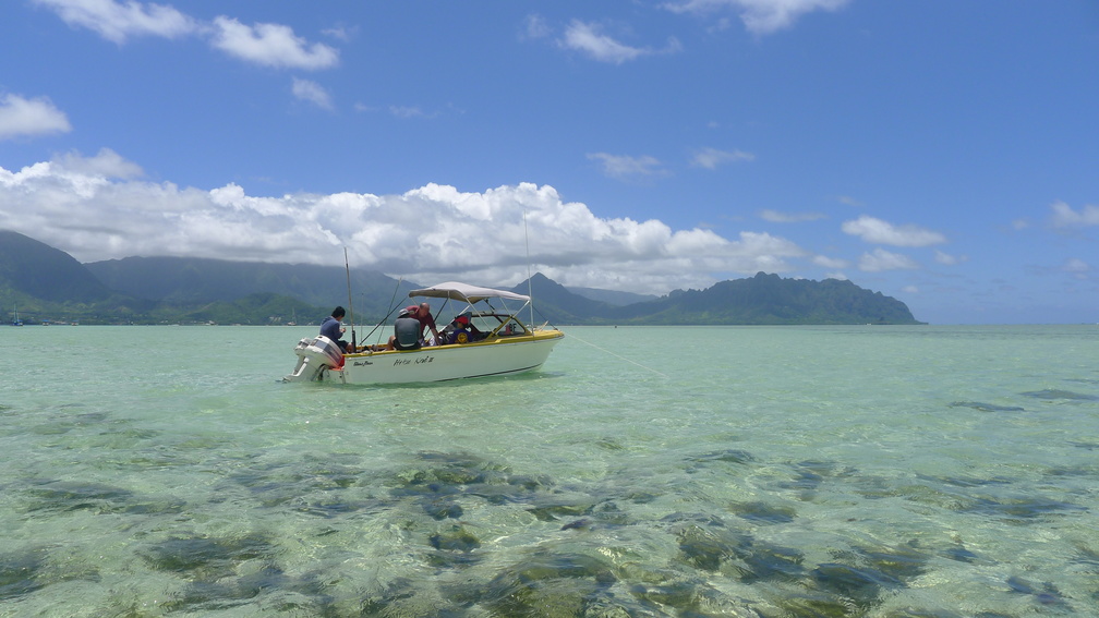 Skin Diving in Kaneohe