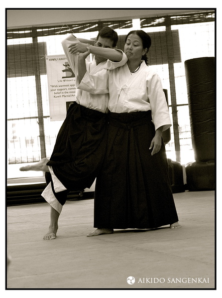 Training at the Aikido Sangenkai in Honolulu Hawaii IMG_4486.jpg