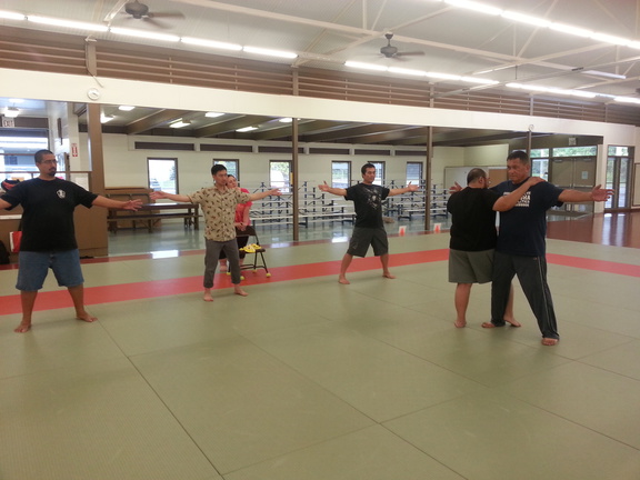 Aiki and Internal Power in Hilo