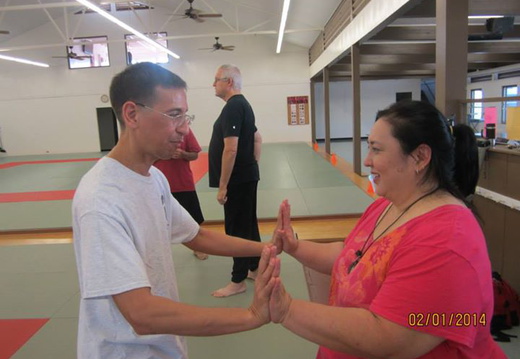 Basic Principles of Aiki and Internal Power - Hilo, Hawaii, February 2014 - display this album Basic Principles of Aiki and Internal Power - Hilo, Hawaii, February 2014