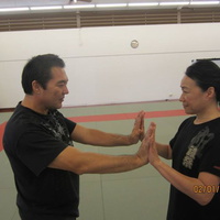 Aiki and Internal Power in Hilo