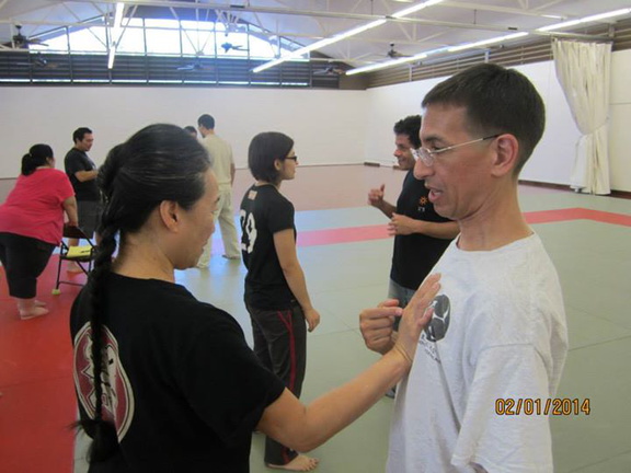 Aiki and Internal Power in Hilo