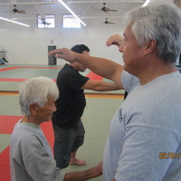 Aiki and Internal Power in Hilo