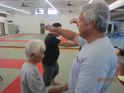 Aiki and Internal Power in Hilo