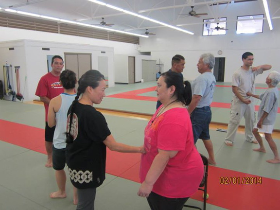 Aiki and Internal Power in Hilo