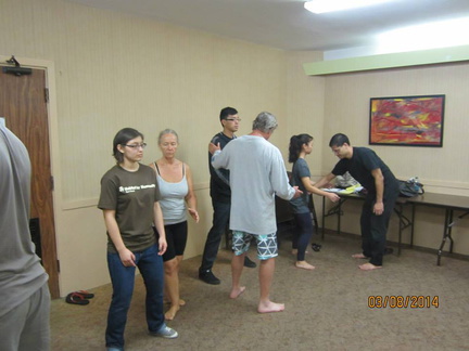 Aiki and Internal Power Workshop in Hilo