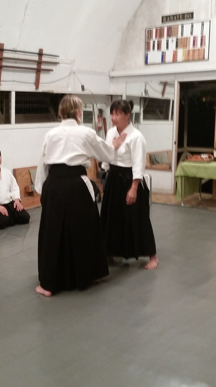 Aikido Sangenkai Kagami Biraki 2015 at Windward Aikido Club