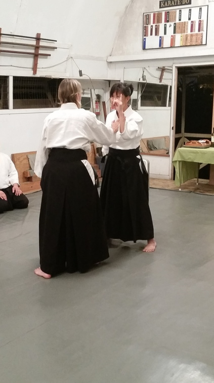 Aikido Sangenkai Kagami Biraki 2015 at Windward Aikido Club