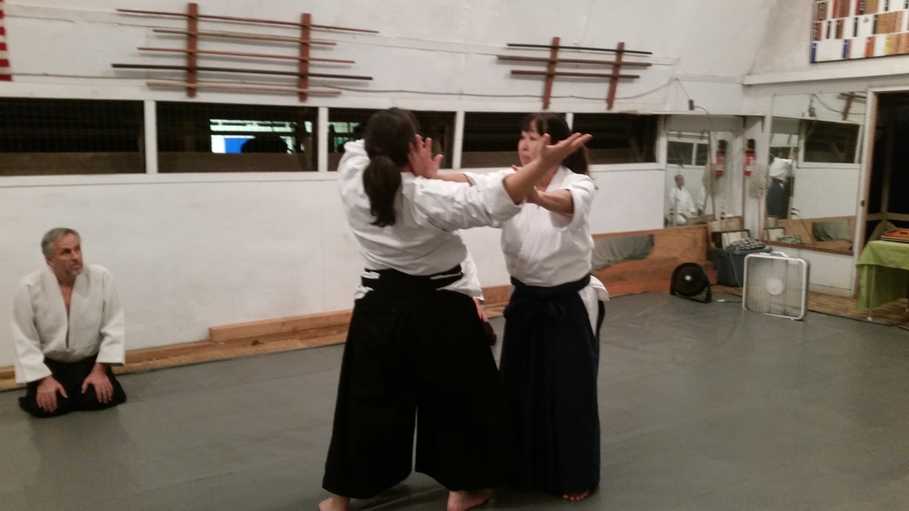 Aikido Sangenkai Kagami Biraki 2015 at Windward Aikido Club