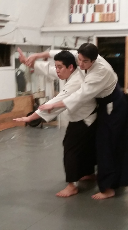 Aikido Sangenkai Kagami Biraki 2015 at Windward Aikido Club