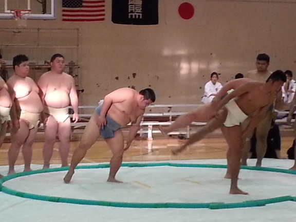 Sumo Demonstration