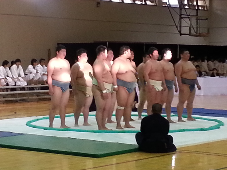 Sumo Demonstration
