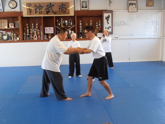 Sam Chin Sifu and Lipyeow Lim