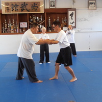 Sam Chin Sifu and Lipyeow Lim