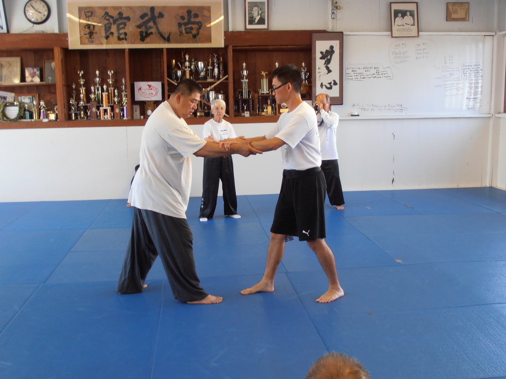 Sam Chin Sifu Teaches Lipyeow Lim