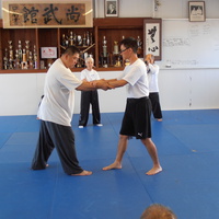 Sam Chin Sifu Teaches Lipyeow Lim