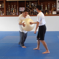 Sam Chin Sifu Demonstrates with a Ball