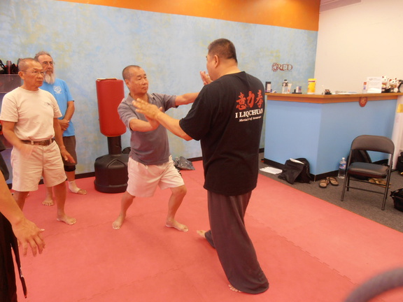 Sam Chin Sifu Frontal Plane