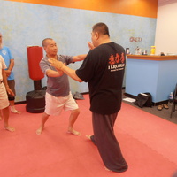 Sam Chin Sifu Frontal Plane