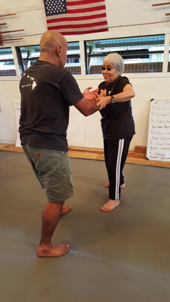 December 2015 Sangenkai Workshop in Hawaii with Dan Harden