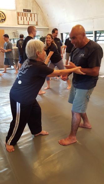 sangenkai-hawaii-intensive-december-2015-103.jpg