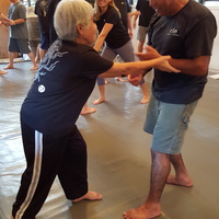 December 2015 Sangenkai Workshop in Hawaii with Dan Harden