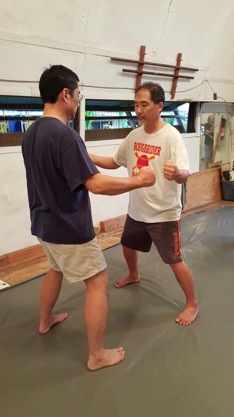 sangenkai-hawaii-intensive-december-2015-61.jpg