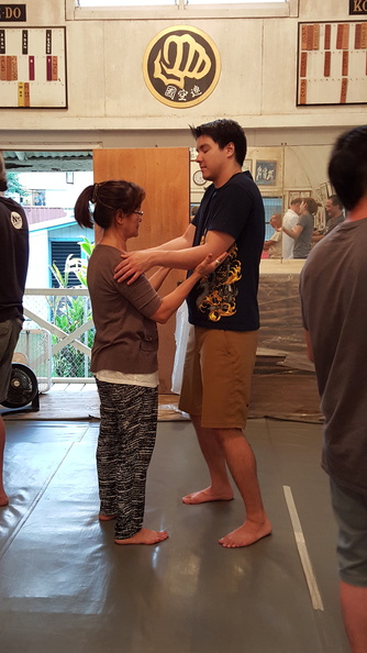 sangenkai-hawaii-intensive-december-2015-63.jpg