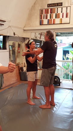 December 2015 Sangenkai Workshop in Hawaii with Dan Harden