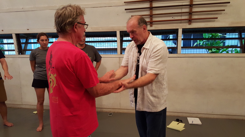 sangenkai-hawaii-intensive-december-2015-65.jpg