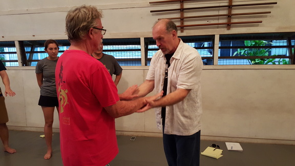 December 2015 Sangenkai Workshop in Hawaii with Dan Harden