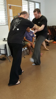 December 2015 Sangenkai Workshop in Hawaii with Dan Harden