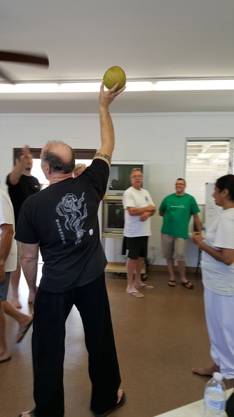 sangenkai-hawaii-intensive-december-2015-73.jpg