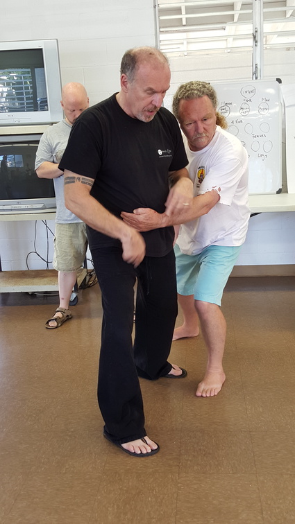 December 2015 Sangenkai Workshop in Hawaii with Dan Harden