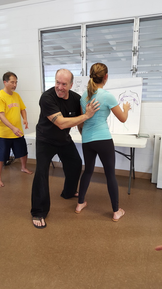 December 2015 Sangenkai Workshop in Hawaii with Dan Harden